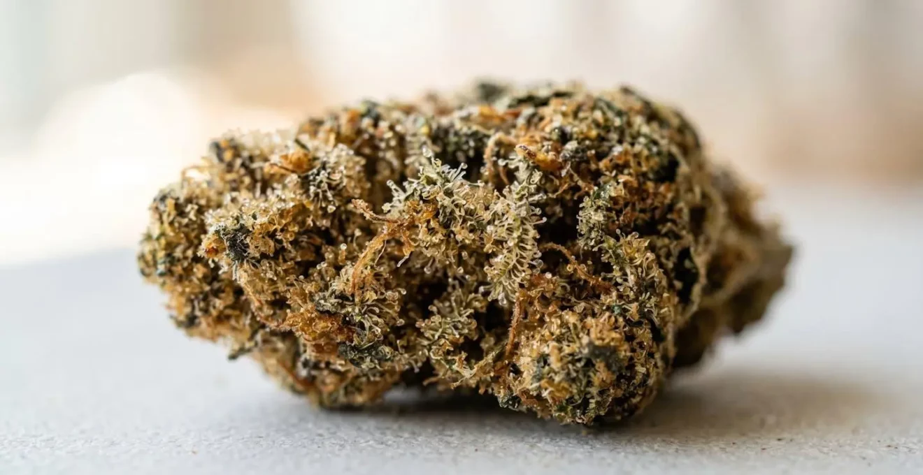 Gros plan extrême sur la texture d'une résine de CBD montrant des détails cristallins de trichomes avec un arrière-plan flouté créant un bokeh naturel